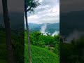 OOTY Tourist Places Youtube Ooty Ytshorts Shortsvideo Ootytrip Ootytourism