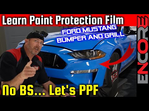 Mastering Paint Protection Film Installation 🥇 Step-by-Step Guide on a 2024 Ford Mustang GT 5.0