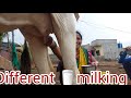 Viral Prepar Milk Making ️