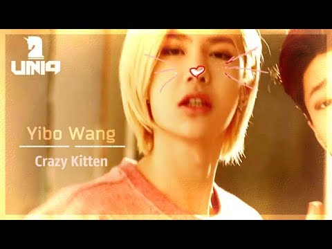 Yibo Wang |Cute Moment| - Crazy Kitten