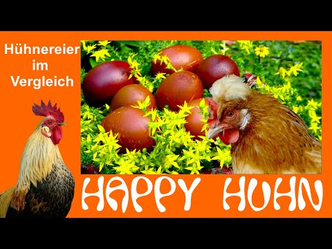 , title : 'E30 Hühnereier im Vergleich - HAPPY HUHN - Welche Rasse legt welche Eier, gut legende Hühner'