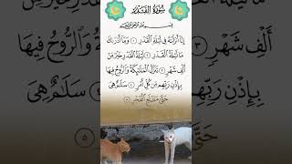 Download lagu semoga kita dapat pahala dari malam laillatulkodar #quran #video #viralvideo #shorts mp3