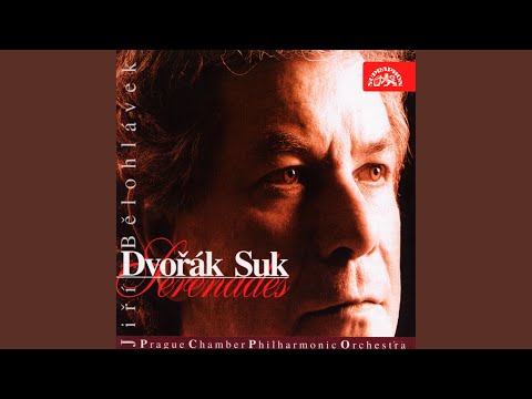 Serenade for String Orchestra in E major, Op. 22 - Tempo di Valse