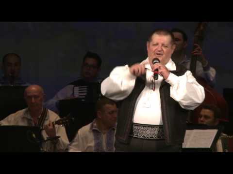 Petrică Moise și Orchestra Ansamblul Timișul - Bănățănu-i om curat LIVE