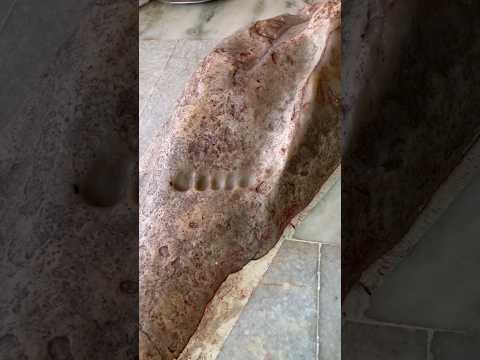 Real Krishna Ji’s 🦶🏻Footprints | Fisalni Shila | Charan Pahadi | #radhakrishna #krishna