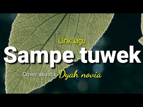 Lirik lagu sampe tuwek (denny caknan) cover akustik dyah novia