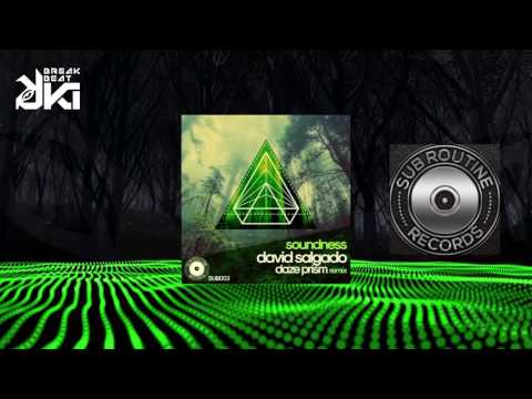 David Salgado - Soundness (Daze Prism Remix) Subroutine Records