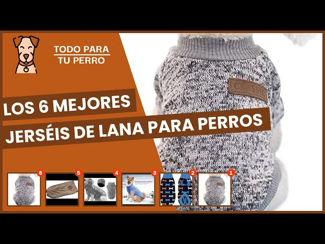 Vídeo relacionado con ATHLETIC CLUB BILBAO - Sudadera para Perro o Gato, 6 Tallas Disponibles, Equipación del Equipo, Talla S, Calidad Alta, Producto Oficial (CyP Brands)