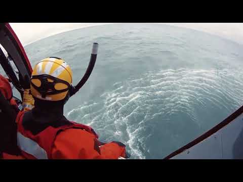 OPEN WATER 3: Cage Dive Clip