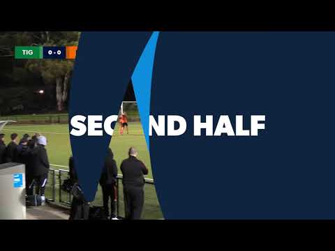 NPL 2 NSW Men Round 2 Highlights - Northern FC v Blackown Spartans FC