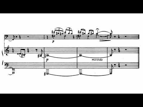 Sulkhan Tsintsadze - 24 Preludes for Cello and Piano