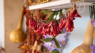 Ինդեքս 07.03.2022