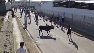 preview picture of video 'Fiestas Villabrágima 2013 - Encierro'