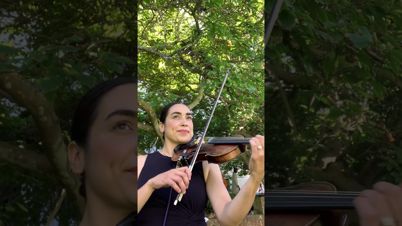 Promotional video thumbnail 3 for Maira Solis Violinist