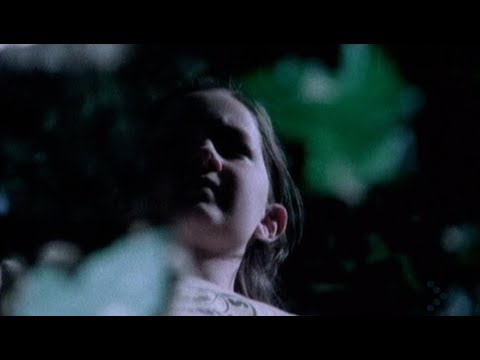 The Space Brothers - Legacy (Show Me Love) (Official Video) (1999)