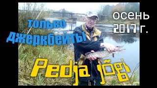 preview picture of video 'Pedja jõgi.  Щука в октябре на джеркбейты .С берега на малой реке.'