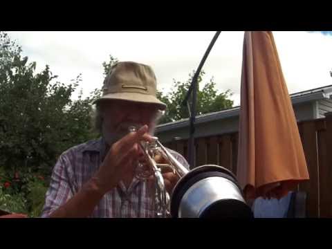 Bach Stradivarius Trumpet (My First Trumpet Video)