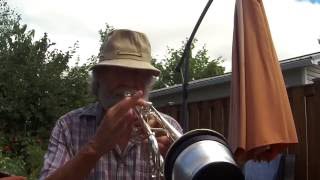 Bach Stradivarius Trumpet (My First Trumpet Video)