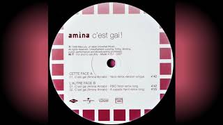 Amina   "C'est gai !" (PBO Yarol Remix Long)