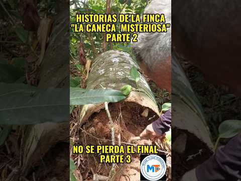 ENCONTRAMOS DINERO ESCONDIDO EN UNA CANECA EN LA FINCA 😱 |