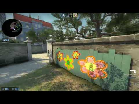 CSGO POV Liquid EliGE (35/25) vs Vitality (OVERPASS) @ IEM Katowice 2023 Quarter-final