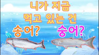 해양수산부 막내라인이 알려주는 1월 이달의 시리즈를 만나보세요!