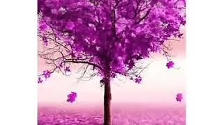 Download lagu Dewa 19 kangen 'buat story WA' mp3