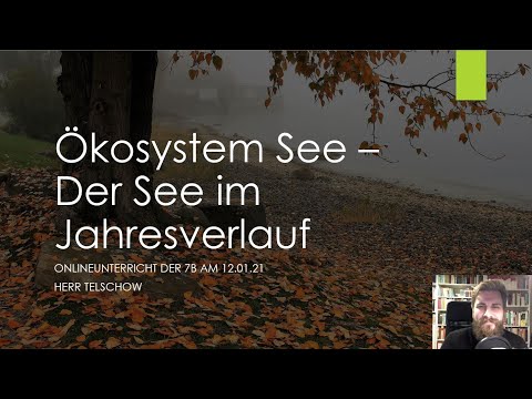 Ökosystem See - Der See im Jahresverlauf