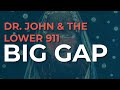 Dr. John & The Lower 911 - Big Gap (Official Audio)