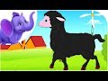 Baa Baa Black Sheep