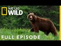 Predator Superpowers Full Episode World S Deadliest