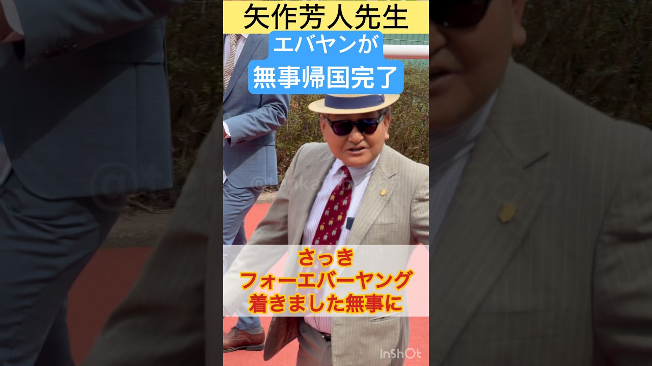 【矢作芳人先生】フォーエバーヤングが無事帰国しました #shorts #short #矢作芳人 #フォーエバーヤング