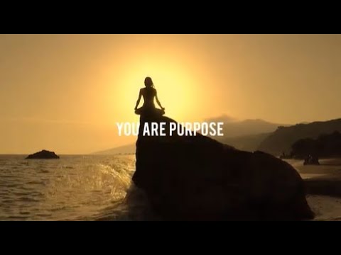 More Life Training: Live Your Best Life