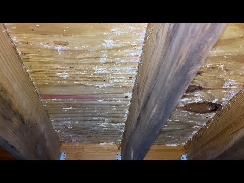 Solution for a Moldy Crawl Space