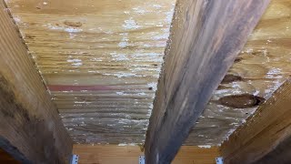 Watch video: Solution for a Moldy Crawl Space