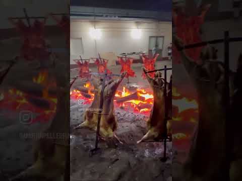 Torneo. Colonia Santa María, Prov. De La Pampa. 14/10/23.