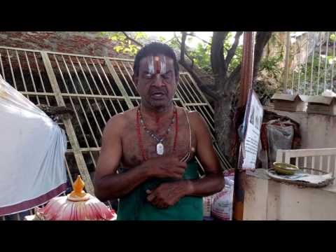 நம்மாழ்வார் - புளியம்பொந்து