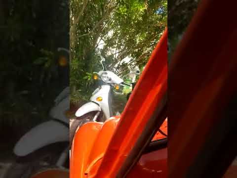 1979 Fiat 600 (CC-1433983) for sale in Glendale, California