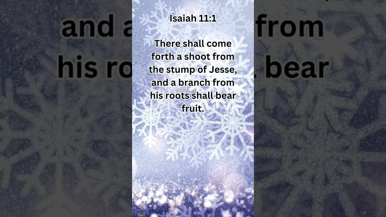 Journey of faith and spiritual growth December 07 2023 #prayer #dailyverse #dailybibleverse