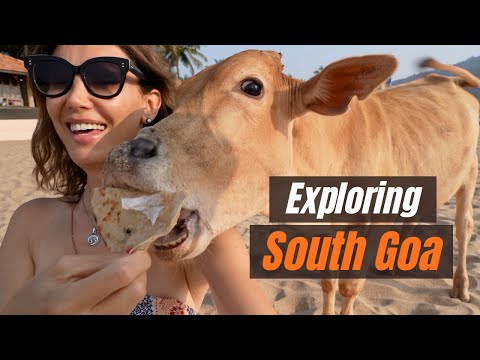 Exploring South GOA, INDIA I Best Beaches, Restaurants and MORE!