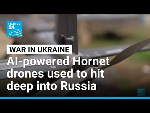 Kyiv using AI-powered Hornet drones to strike deep into Russian territory