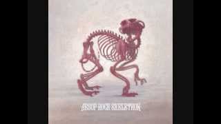 Aesop Rock - Racing Stripes