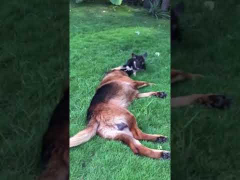 Odín y Ronna... papá e hija