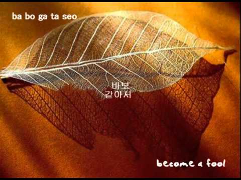 [Kor/Rom/Eng] Cha Soo Kyung- Somebody (The partner ost)