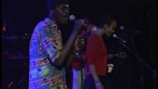 Ani DiFranco Ear Training