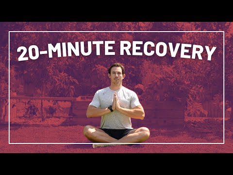 20-MINUTE Beginner Flexibility Routine (FOLLOW ALONG)