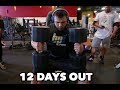 BODYBUILDING MOTIVATION | REGAN GRIMES 12 DAYS OUT