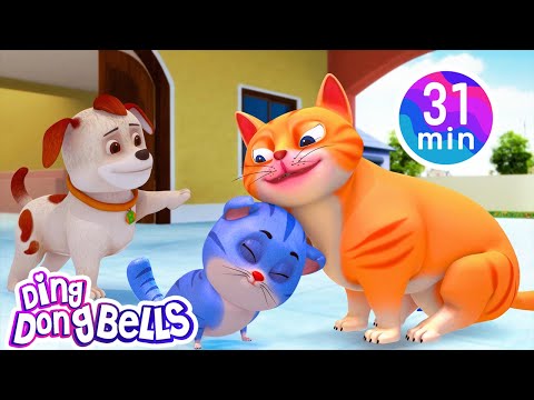 Meow Meow Billi Karti + 10 more Rhymesin Hindi| Nursery Rhymes | Ding Dong Bells