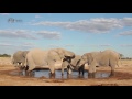 Video for Nxai Pan Camp