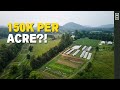 How Much Money Can A Small Farm Make? Let's Talk Numbers